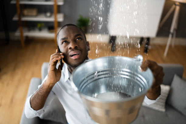 Best Local water damage restoration  in Kansas City, MO