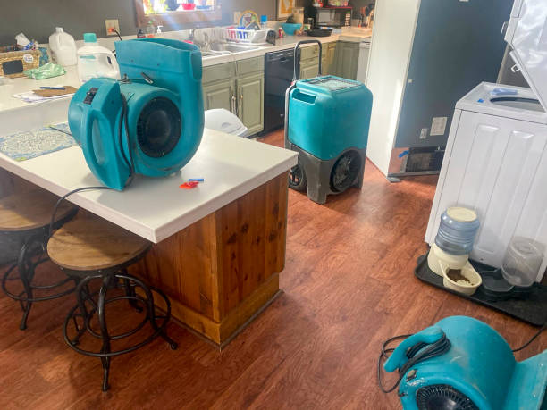 Best Ceiling water damage repair  in Kansas City, MO