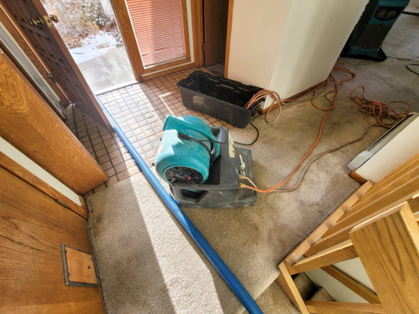 Best Professional water damage repair  in Kansas City, MO