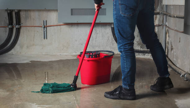 Best Sewage cleanup and water damage restoration  in Kansas City, MO