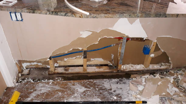 Best Mold removal after water damage  in Kansas City, MO