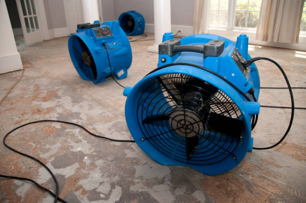 Trusted Kansas City, MO Water damage restoration Experts