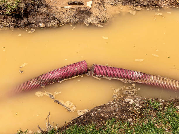 Best Professional water damage repair  in Kansas City, MO